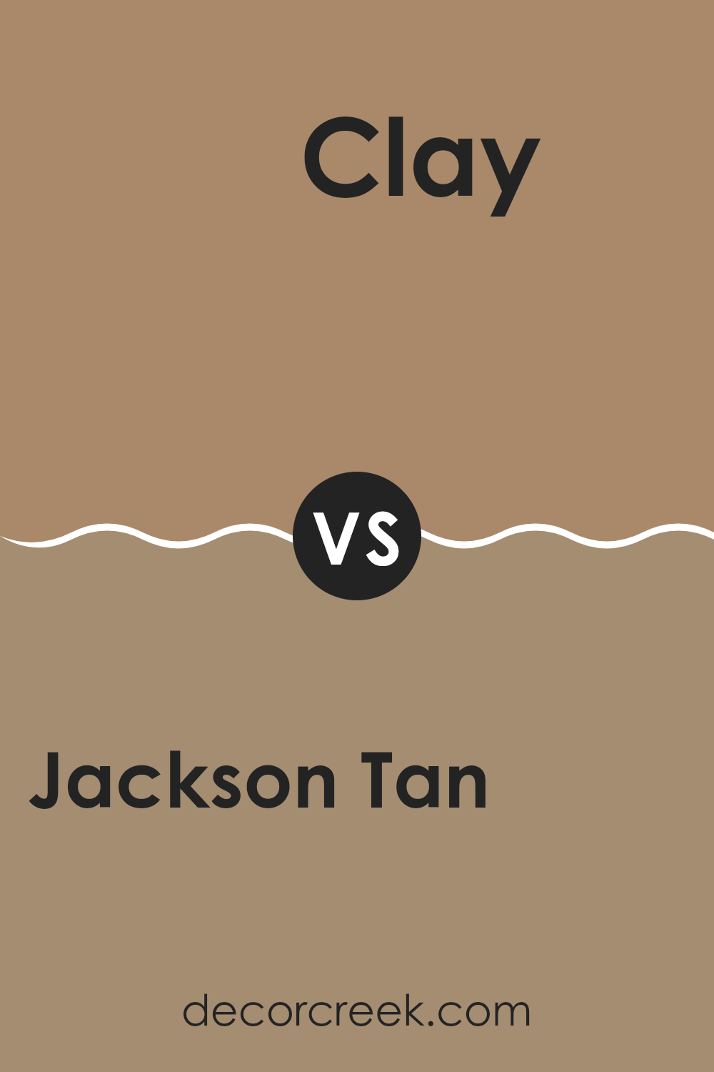 jackson_tan_hc_46_vs_clay_1034
