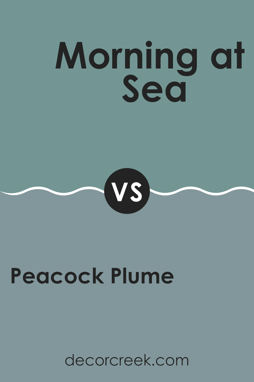 peacock_plume_sw_0020_vs_morning_at_sea_sw_9634