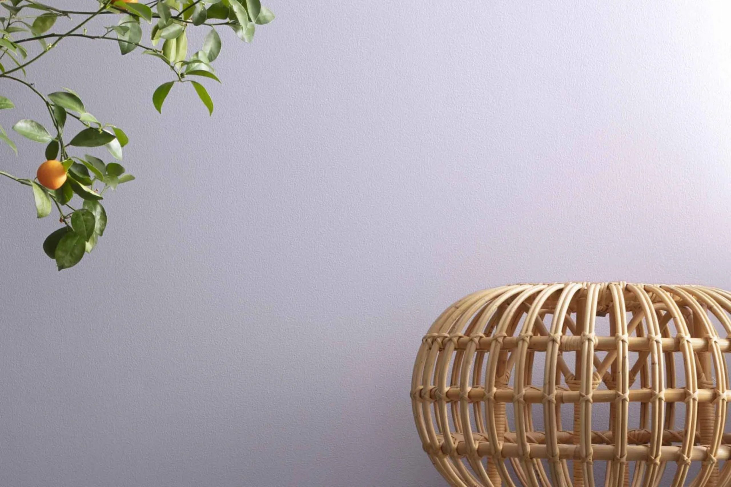 Lavender Ice 2069-60 Paint Color by Benjamin Moore