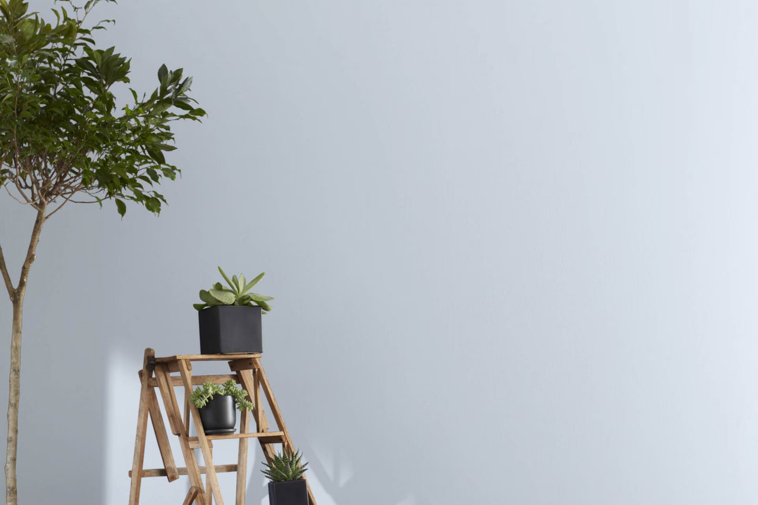 Violet Mist 1437 Paint Color by Benjamin Moore