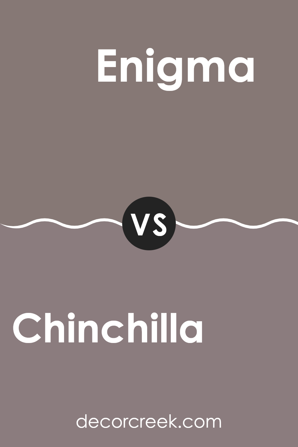 chinchilla_sw_6011_vs_enigma_sw_6018