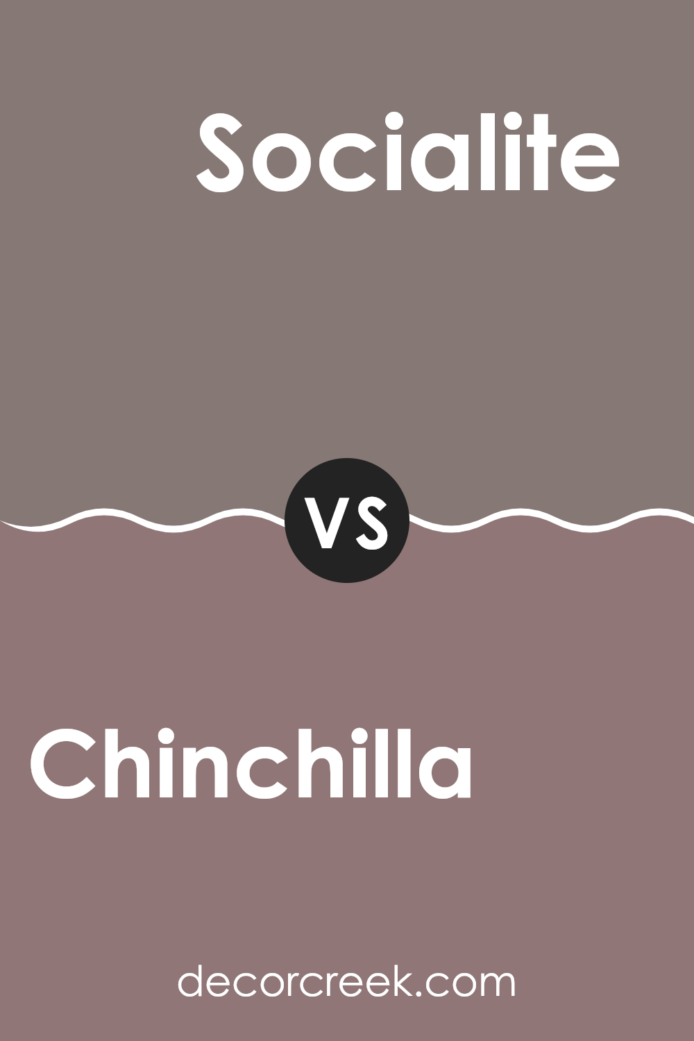 chinchilla_sw_6011_vs_socialite_sw_6025