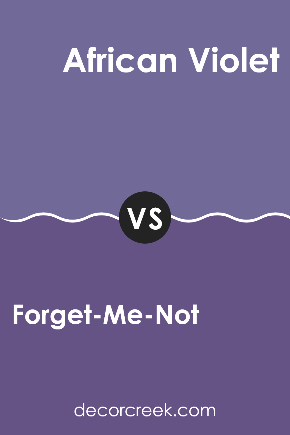 forget_me_not_sw_6824_vs_african_violet_sw_6982