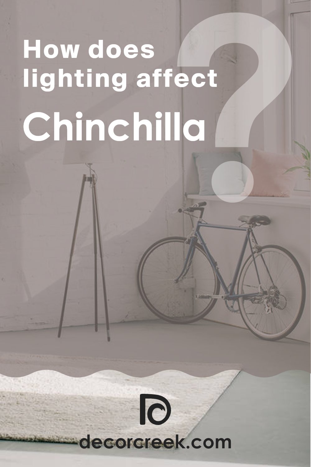 how_does_lighting_affect_chinchilla_sw_6011