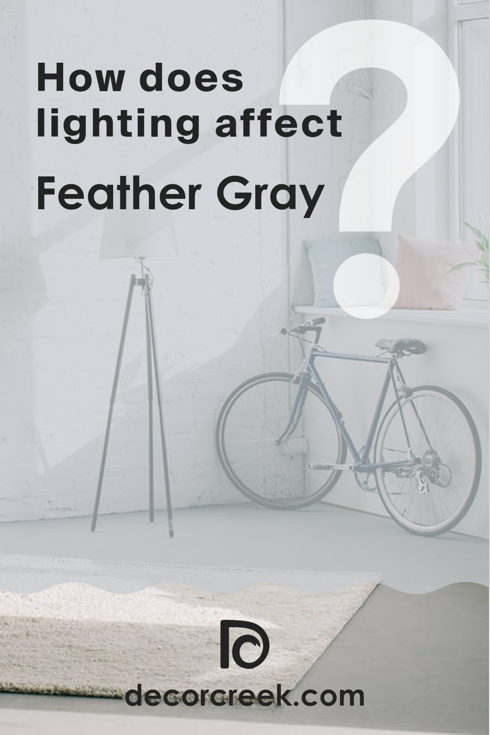 how_does_lighting_affect_feather_gray_2127_60