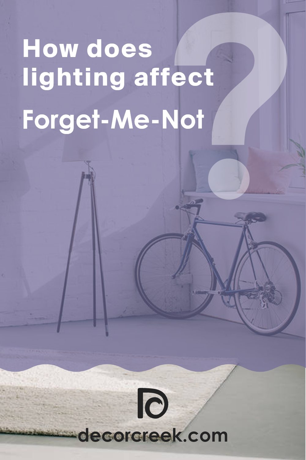 how_does_lighting_affect_forget_me_not_sw_6824