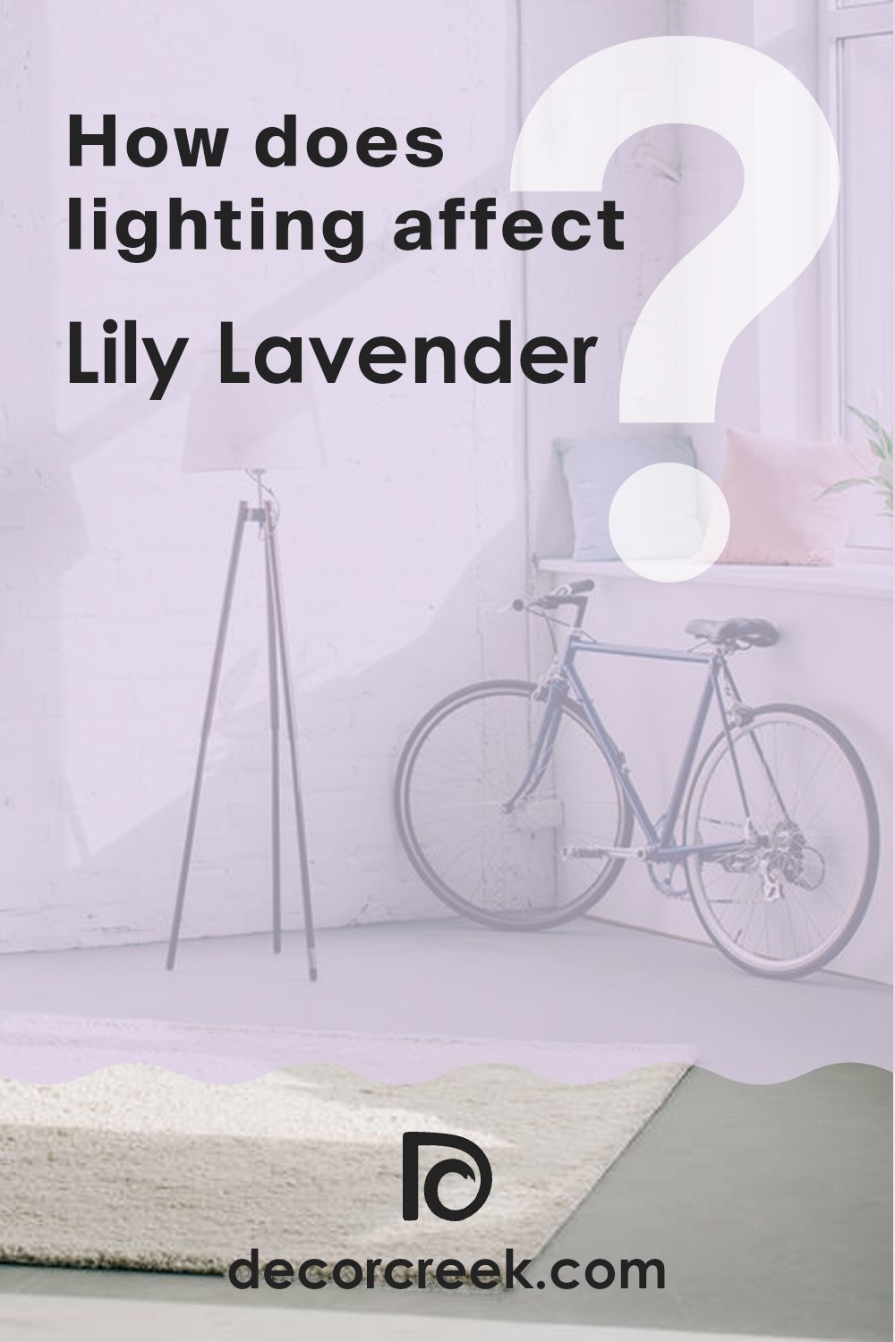 how_does_lighting_affect_lily_lavender_2071_60