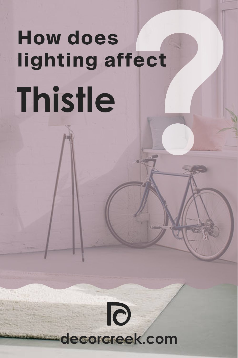 how_does_lighting_affect_thistle_sw_6283