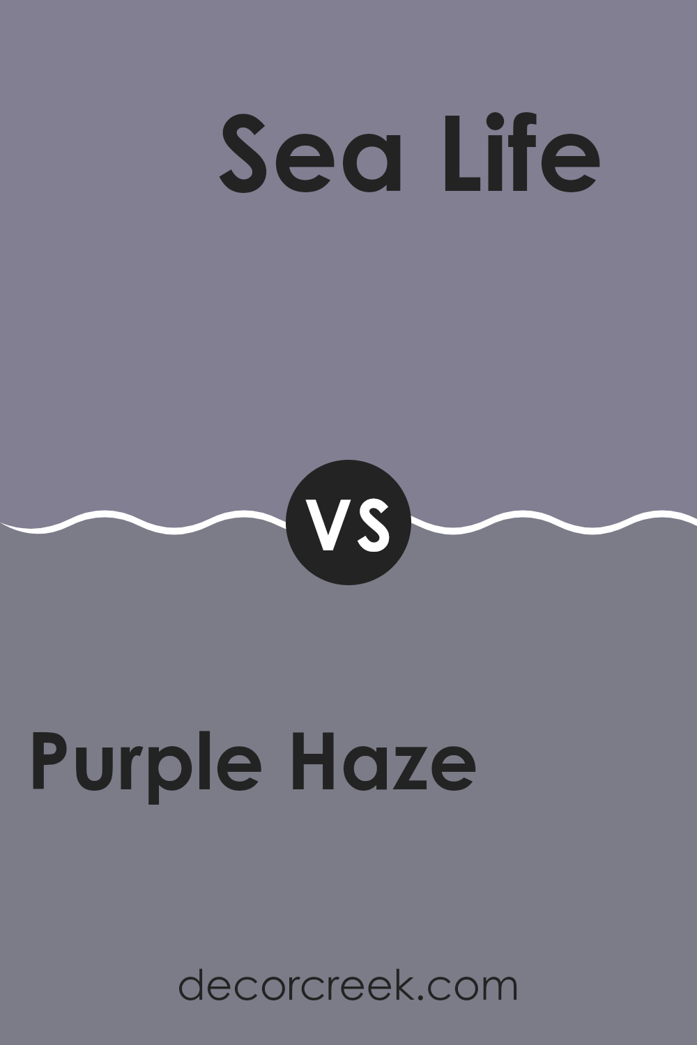 purple_haze_1413_vs_sea_life_2118_40