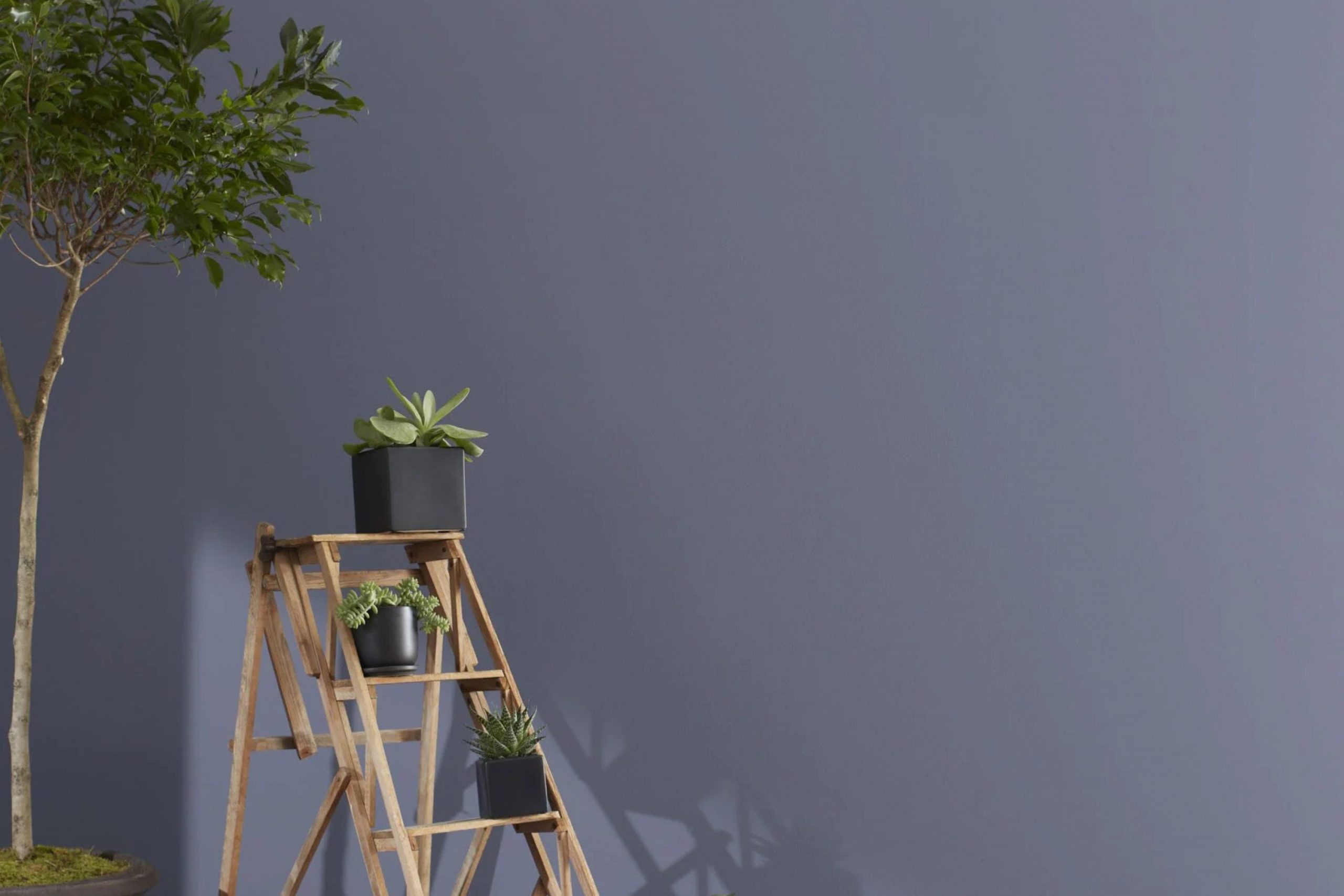 Amethyst Shadow 1441 Paint Color by Benjamin Moore