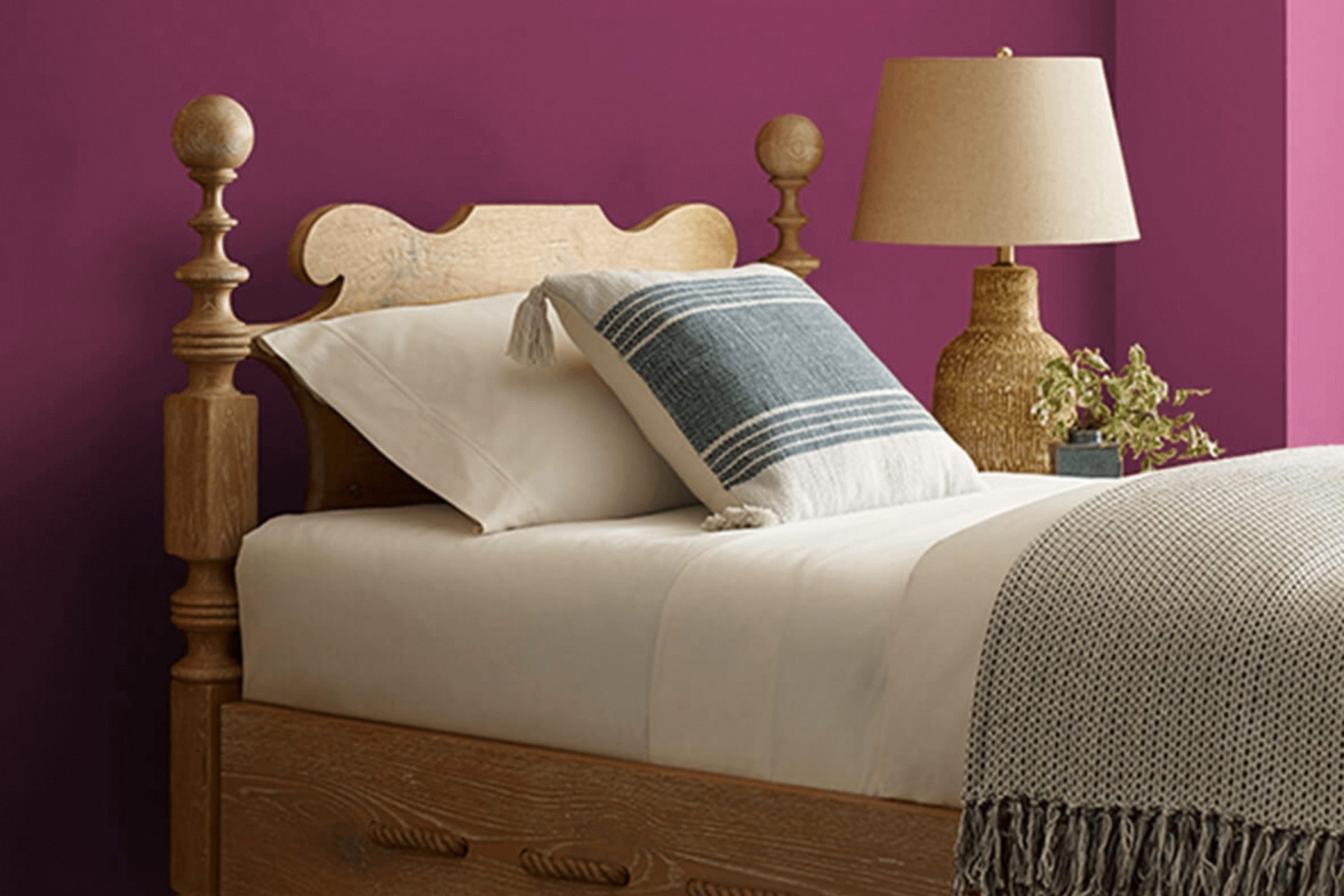 Framboise SW 6566 Paint Color by Sherwin Williams