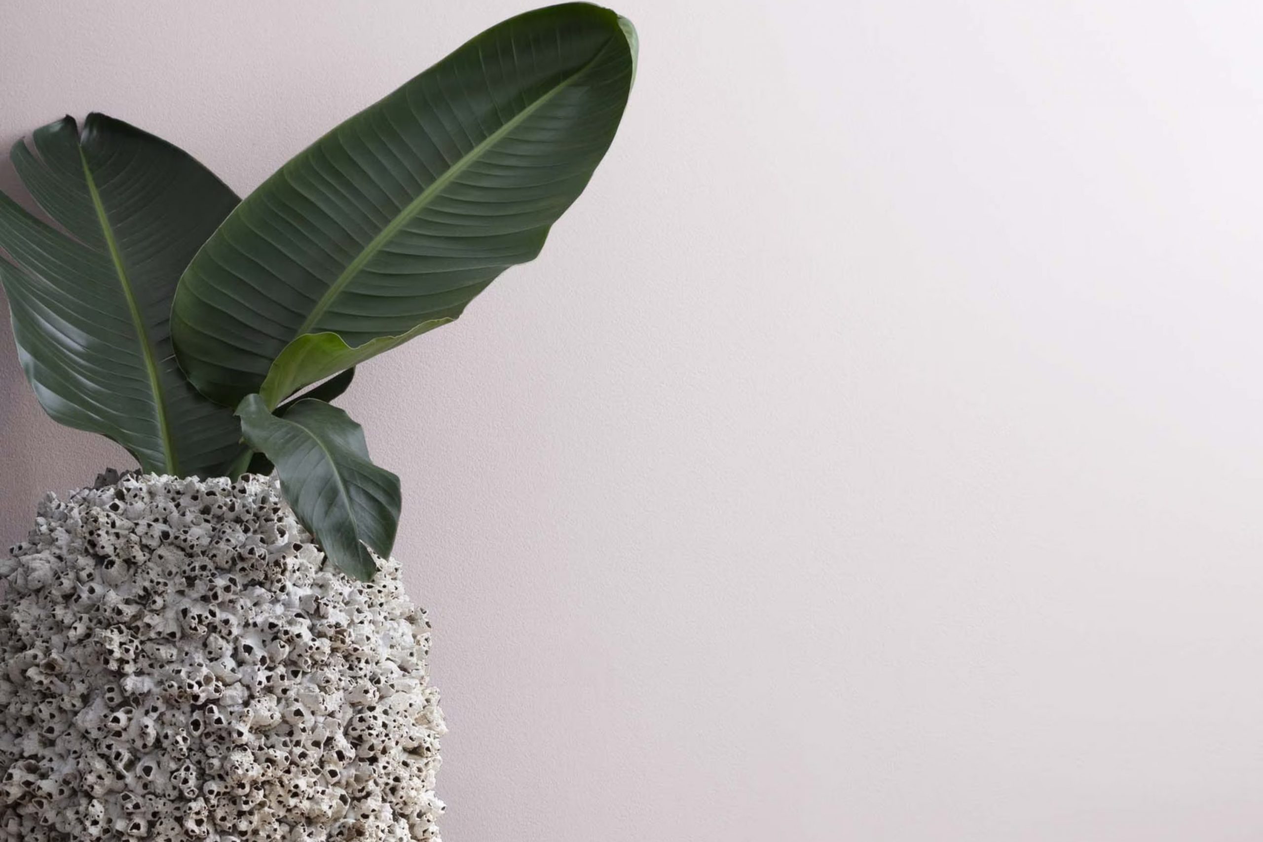 New Age 1444 Paint Color by Benjamin Moore