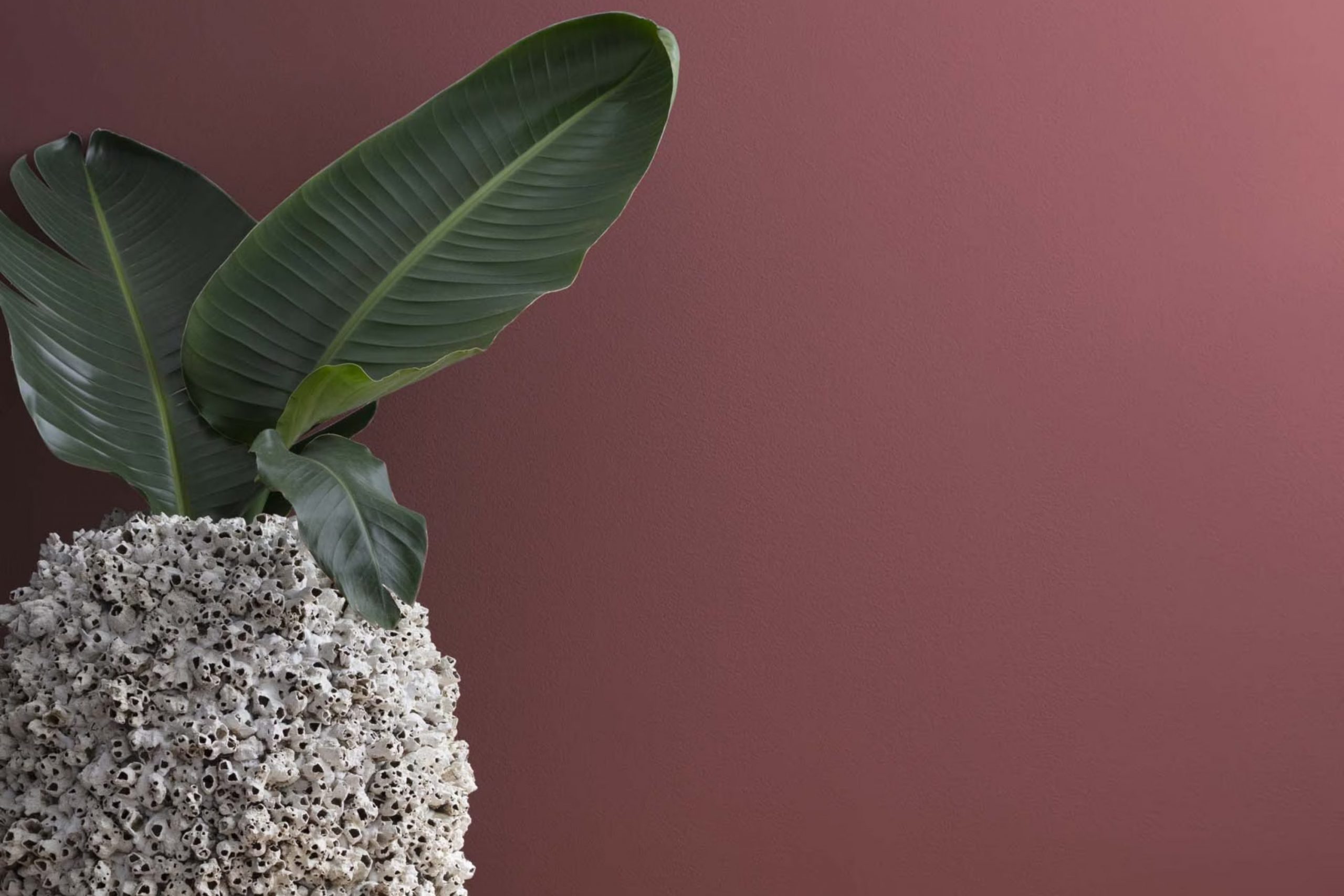 Ruby Dusk 1267 Paint Color by Benjamin Moore