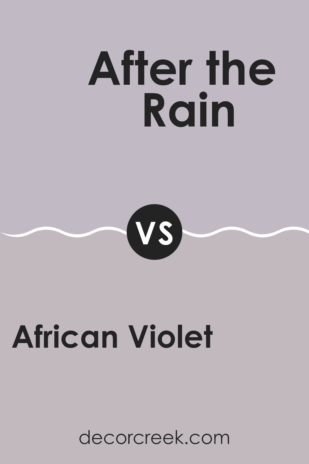 african_violet_2116_50_vs_after_the_rain_1452