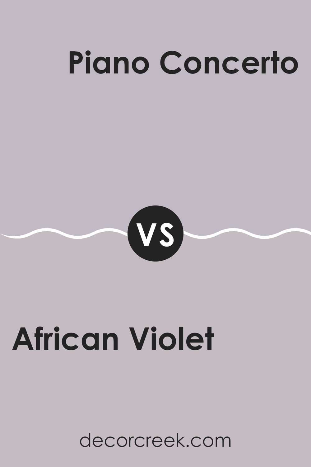 african_violet_2116_50_vs_piano_concerto_1445