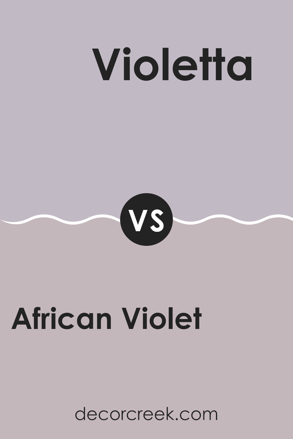 african_violet_2116_50_vs_violetta_af_615