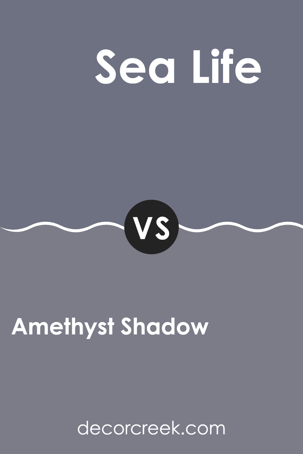 amethyst_shadow_1441_vs_sea_life_2118_40