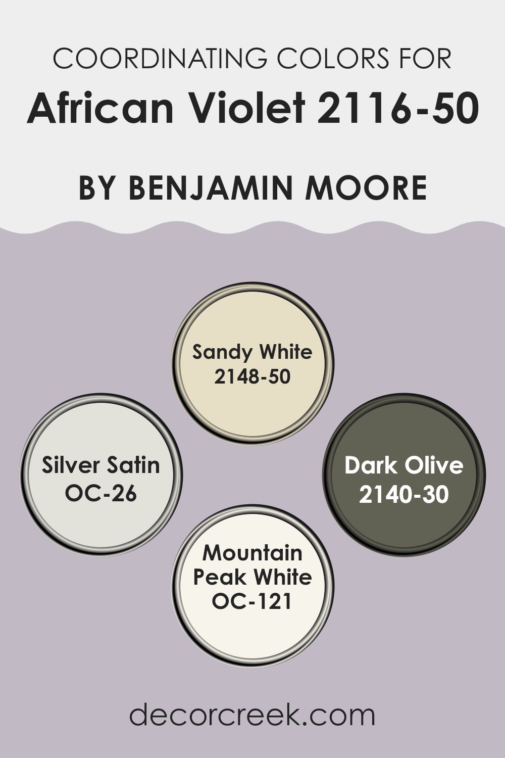 coordinating_colors_of_african_violet_2116_50