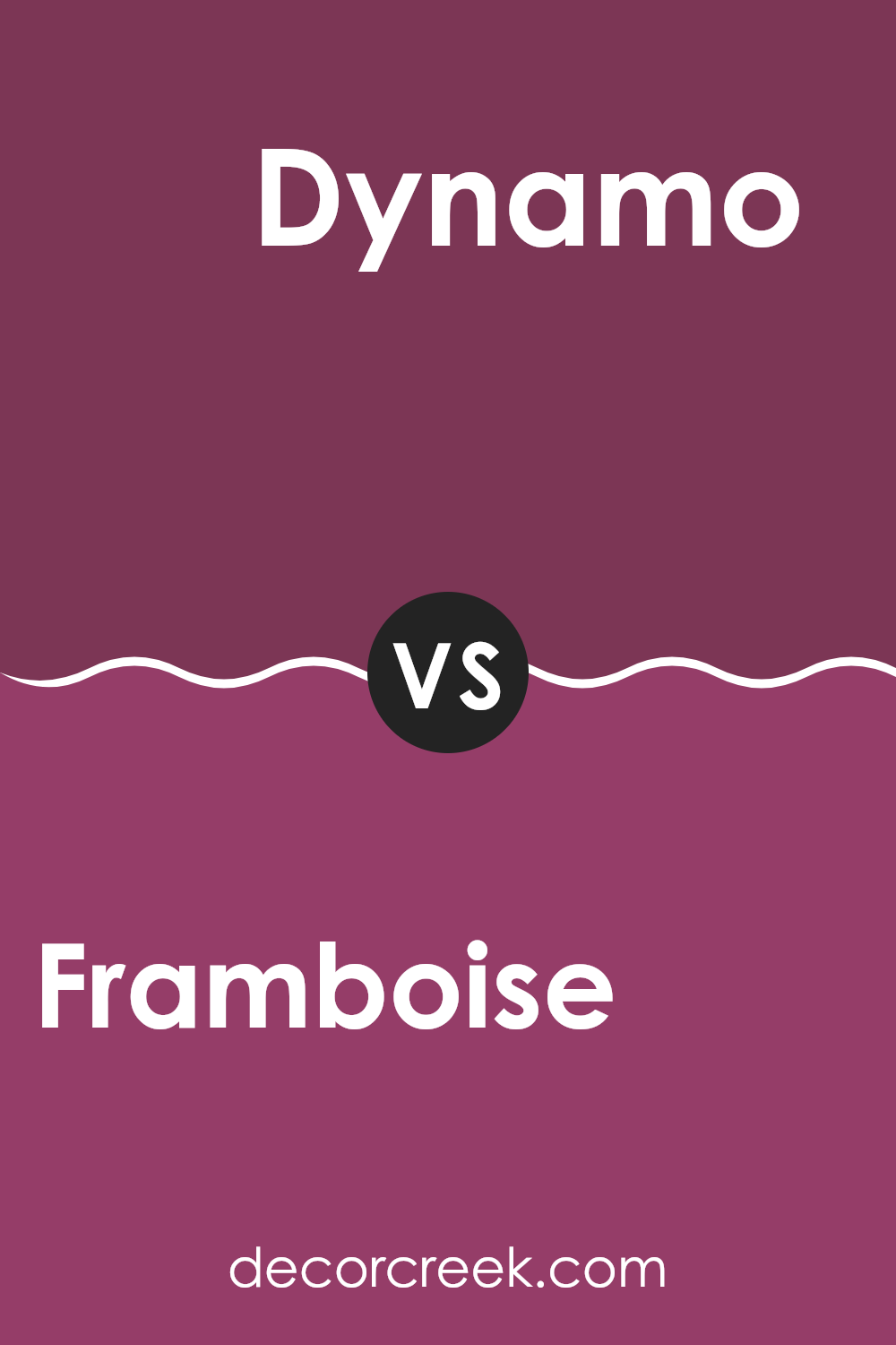 framboise_sw_6566_vs_dynamo_sw_6841