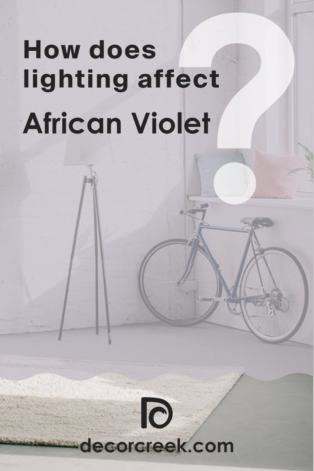 how_does_lighting_affect_african_violet_2116_50