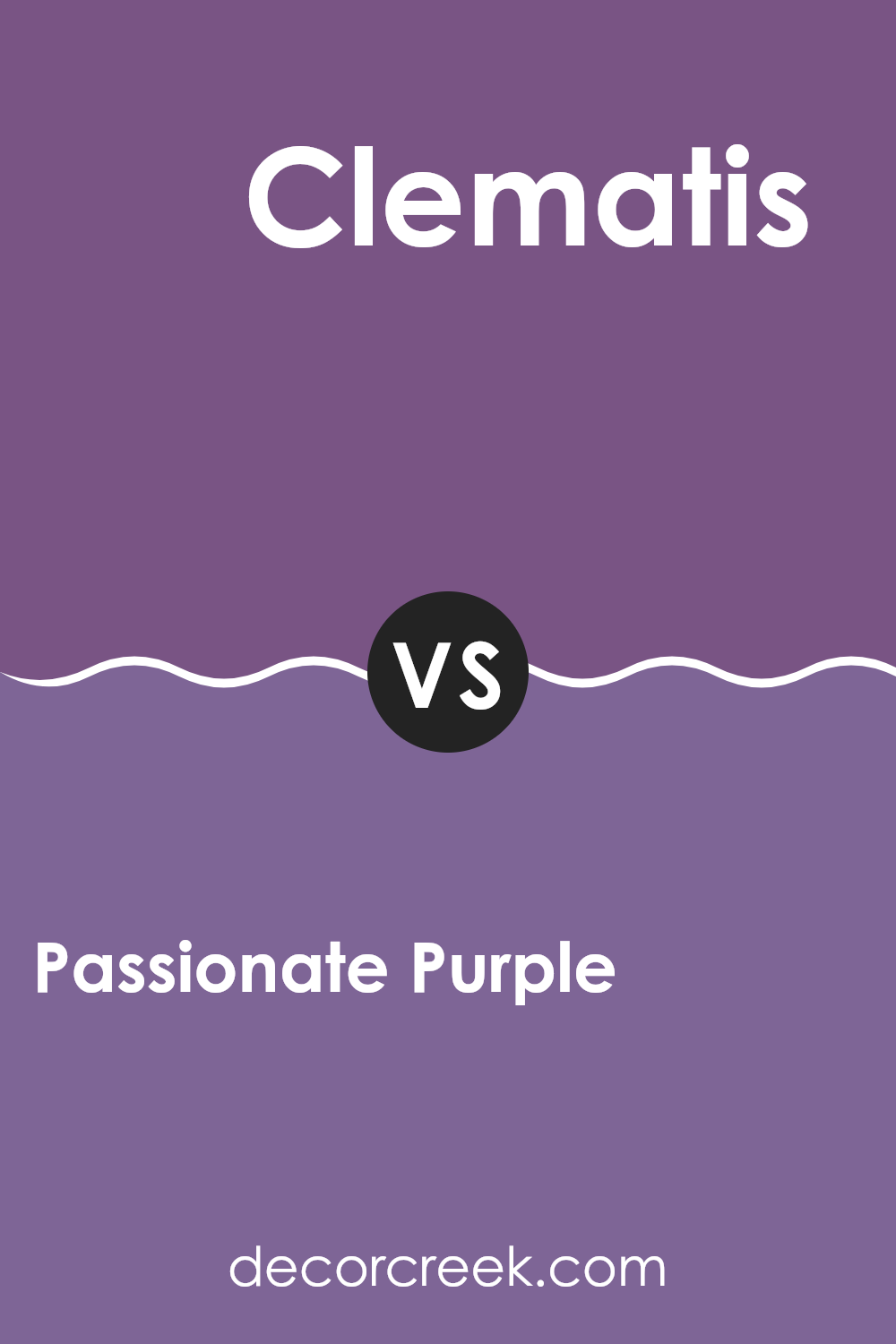 passionate_purple_sw_6981_vs_clematis_sw_6831