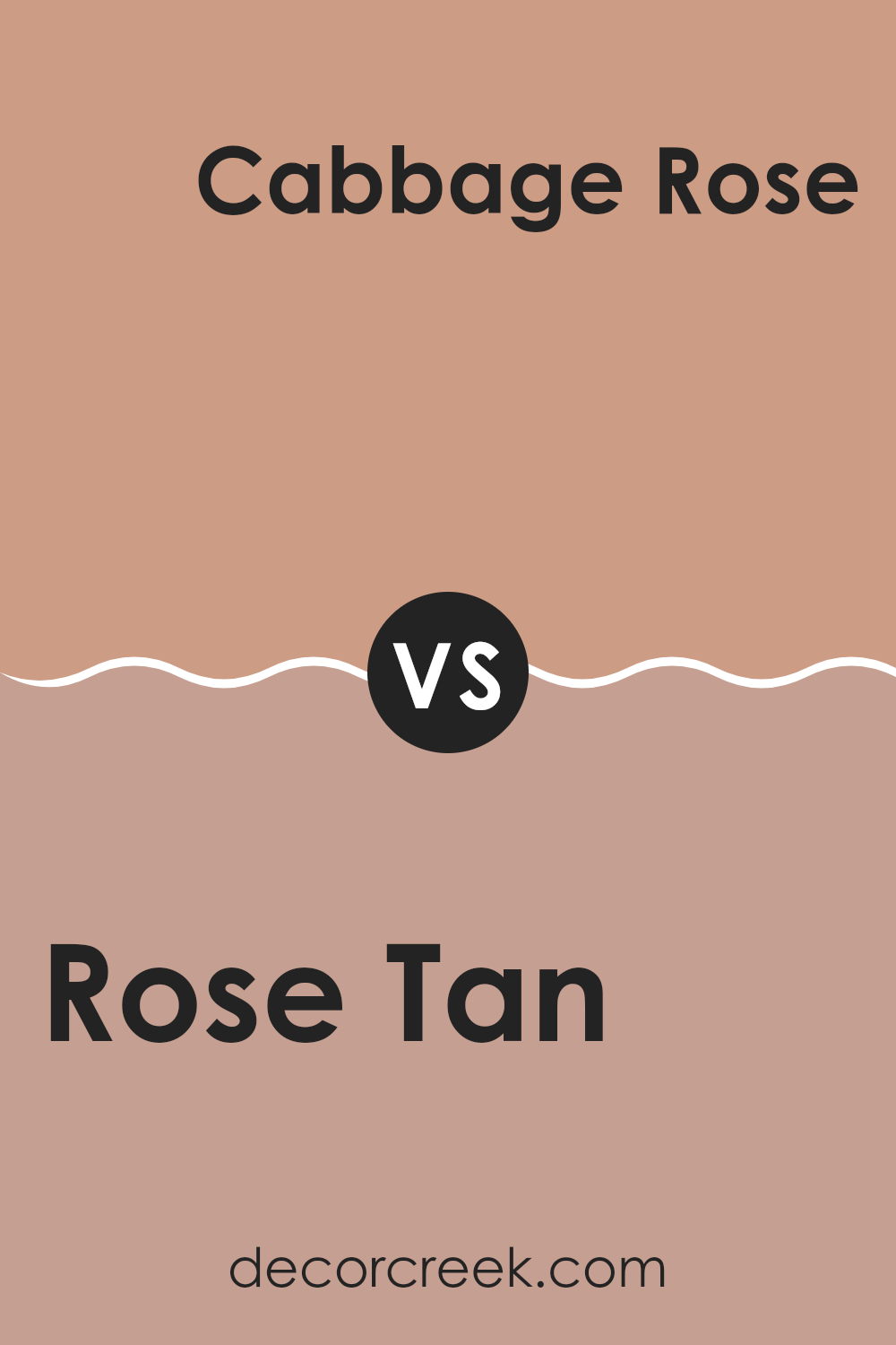 rose_tan_sw_0069_vs_cabbage_rose_sw_0003