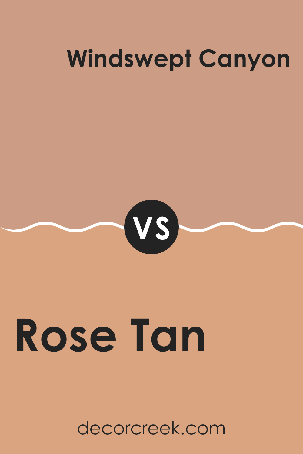 rose_tan_sw_0069_vs_windswept_canyon_sw_9010