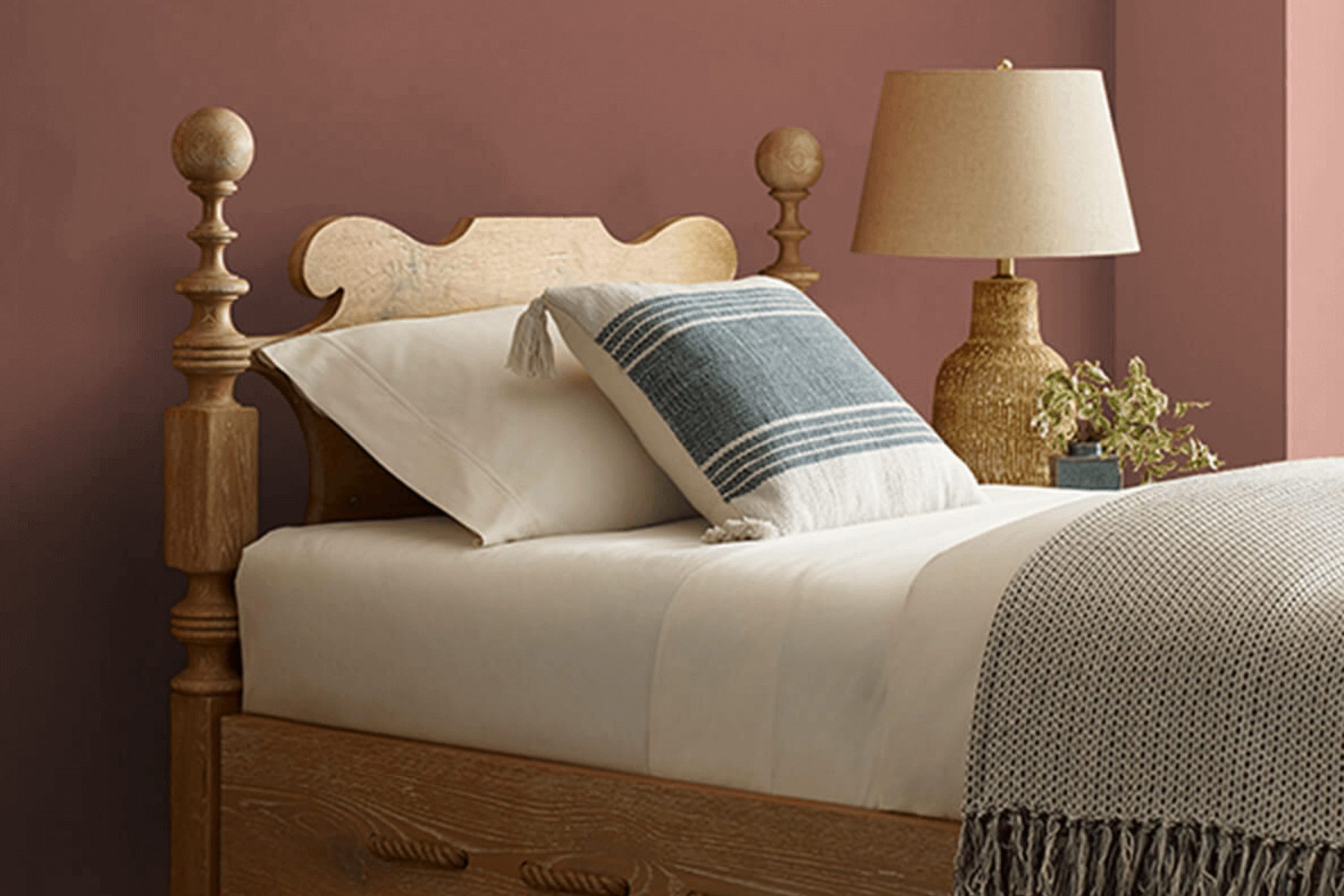 Canyon Clay SW 6054 Paint Color by Sherwin Williams