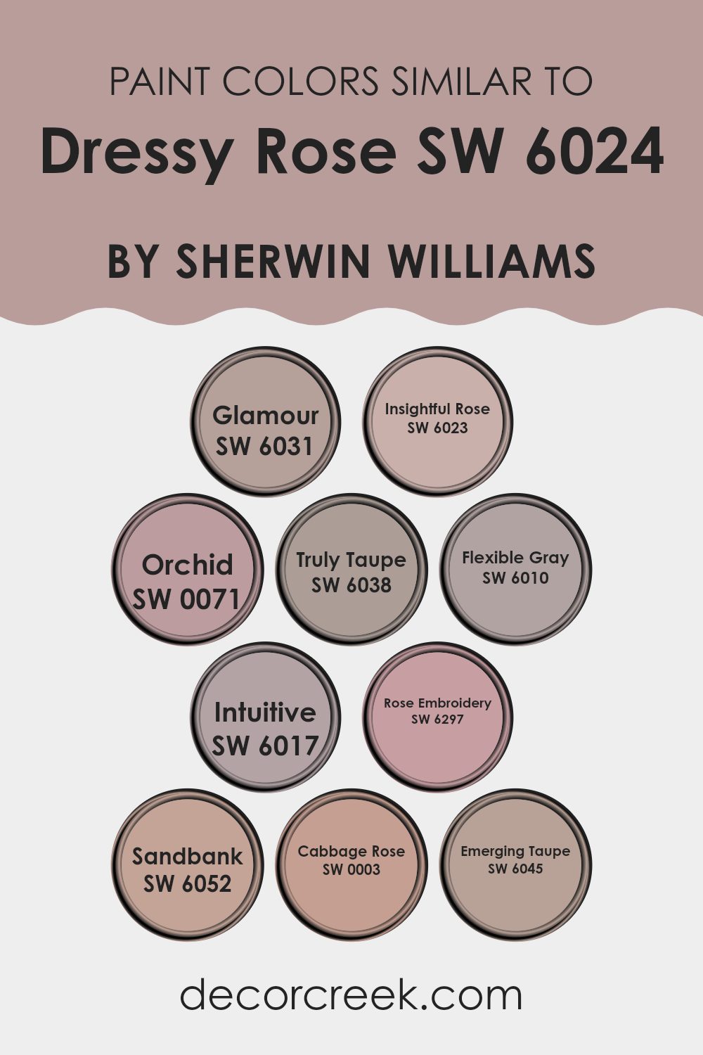 colors_similar_to_dressy_rose_sw_6024