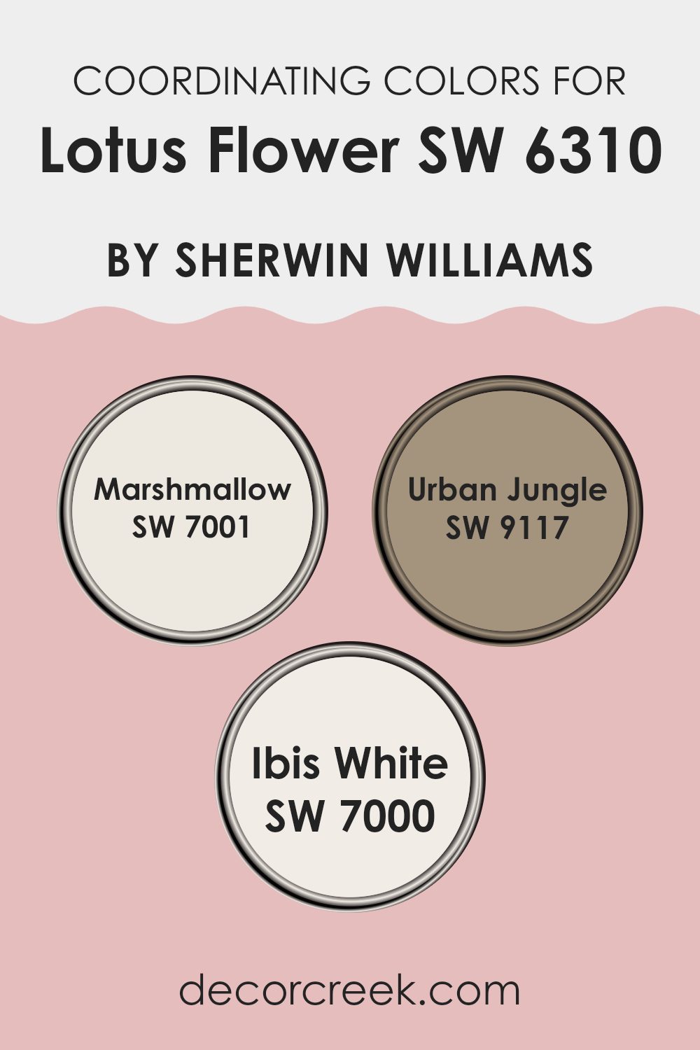 coordinating_colors_of_lotus_flower_sw_6310