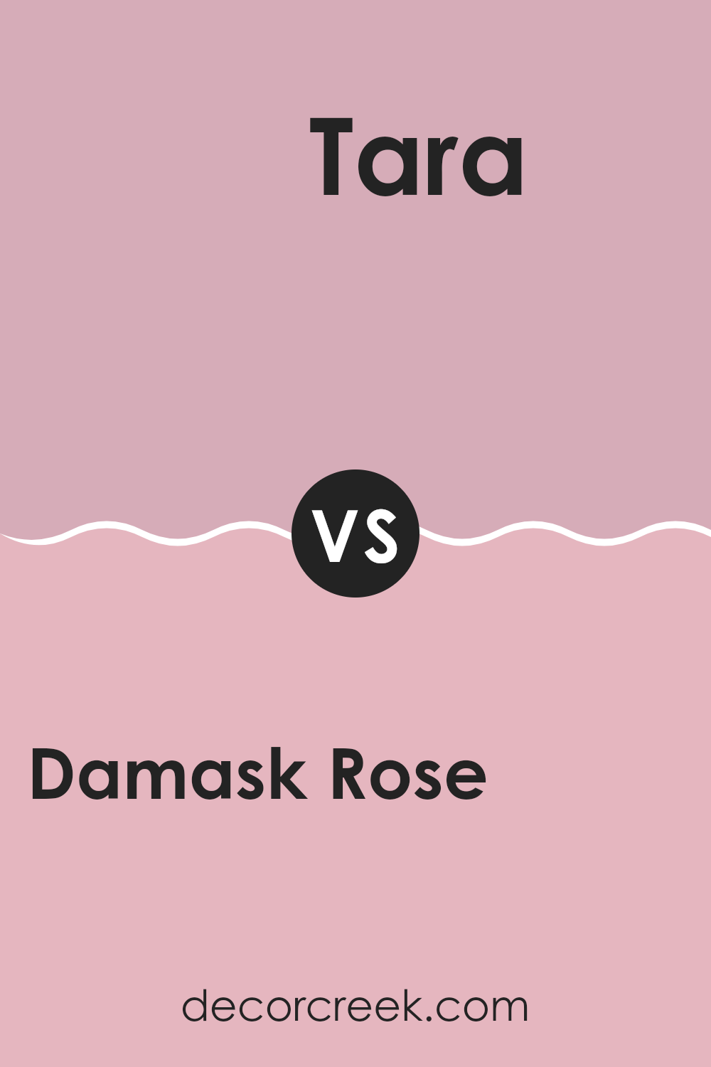 damask_rose_2082_50_vs_tara_1270