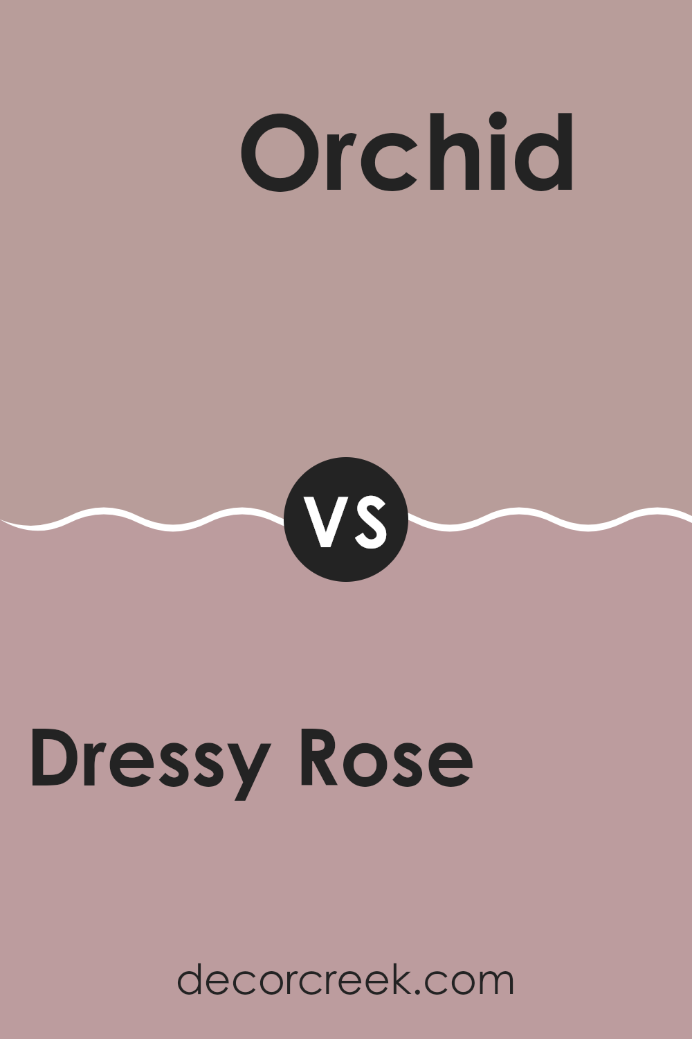 dressy_rose_sw_6024_vs_orchid_sw_0071