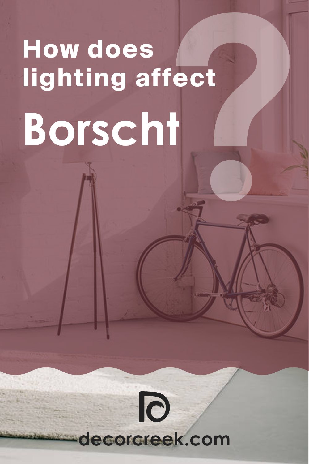 how_does_lighting_affect_borscht_sw_7578