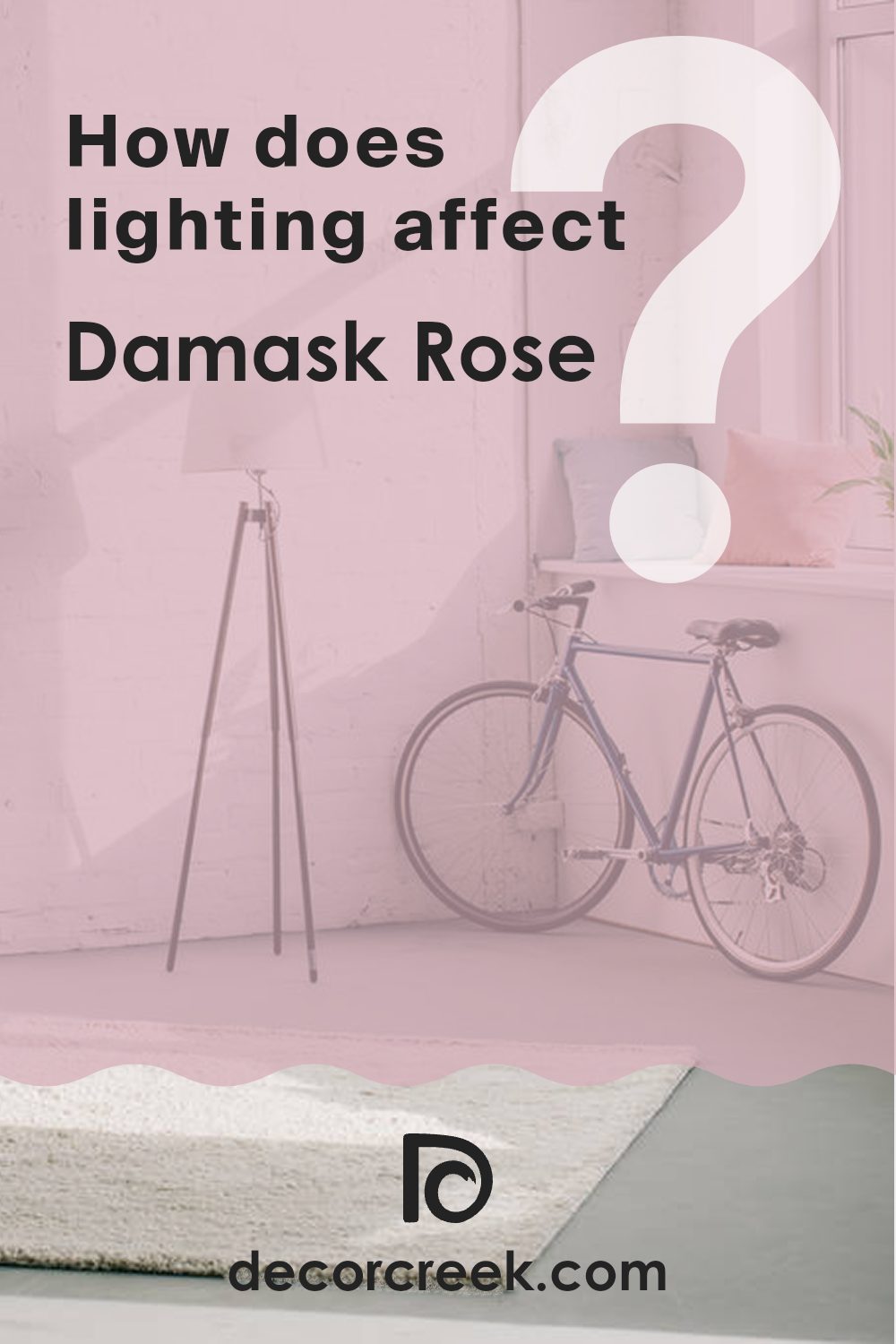 how_does_lighting_affect_damask_rose_2082_50