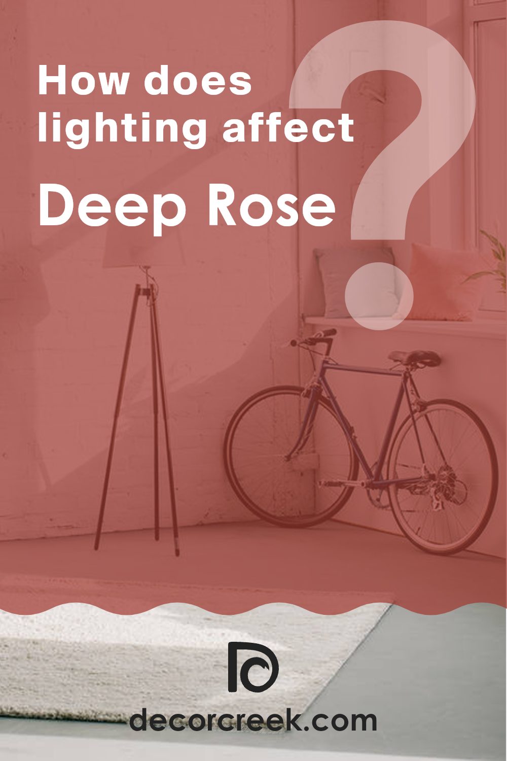 how_does_lighting_affect_deep_rose_2004_10