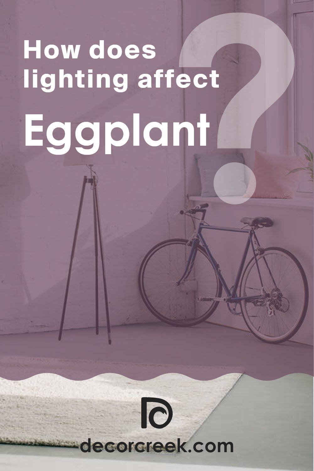 how_does_lighting_affect_eggplant_1379