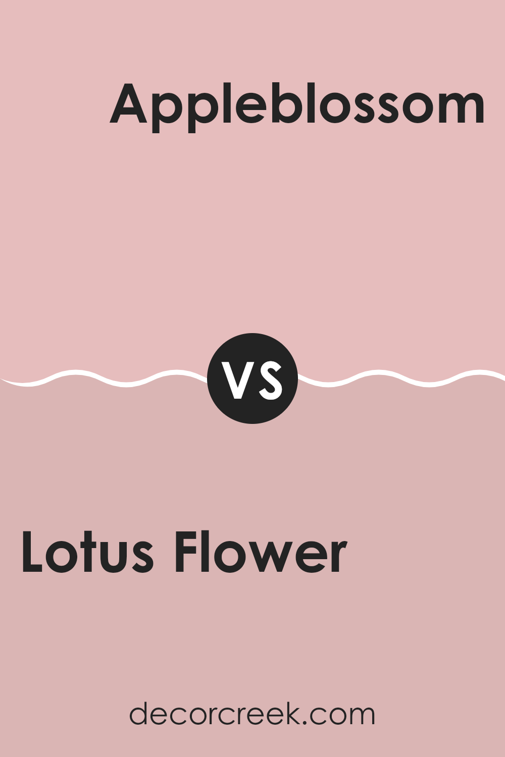 lotus_flower_sw_6310_vs_appleblossom_sw_0076