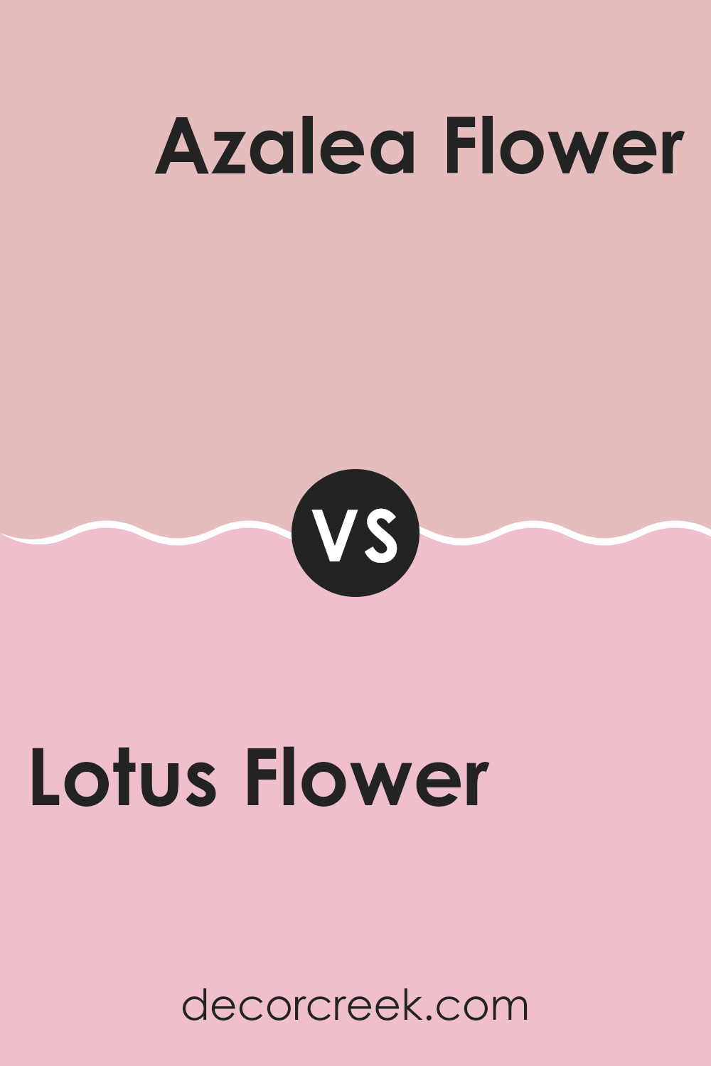 lotus_flower_sw_6310_vs_azalea_flower_sw_6576