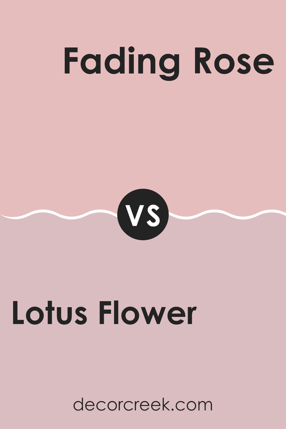 lotus_flower_sw_6310_vs_fading_rose_sw_6296