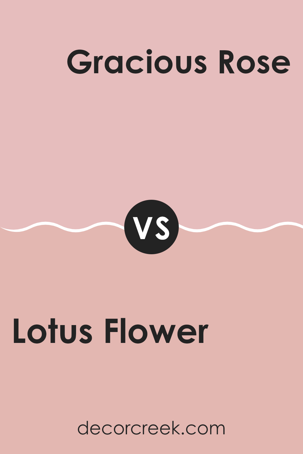 lotus_flower_sw_6310_vs_gracious_rose_sw_6317