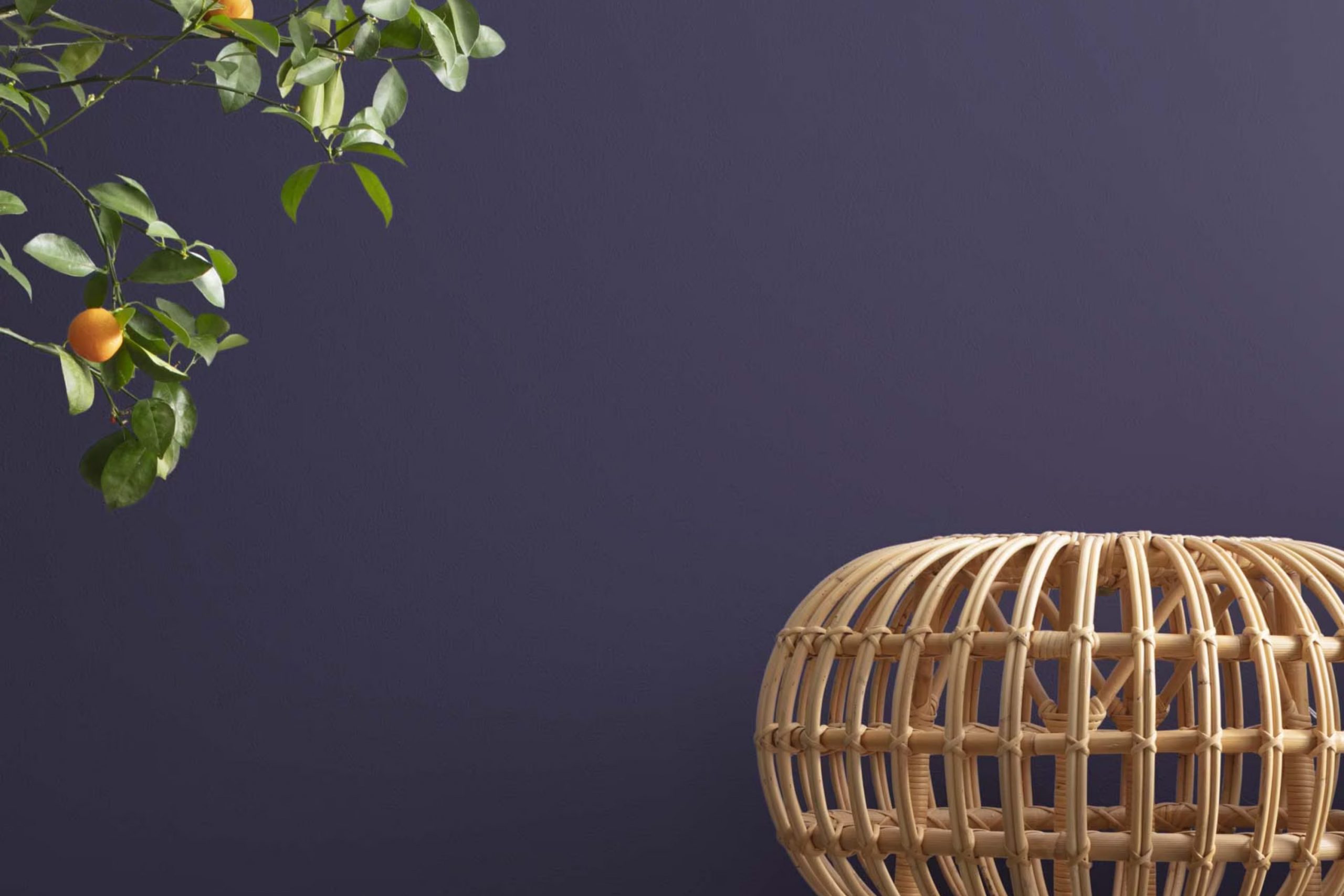 Blackberry Wine 2069-20 Paint Color by Benjamin Moore
