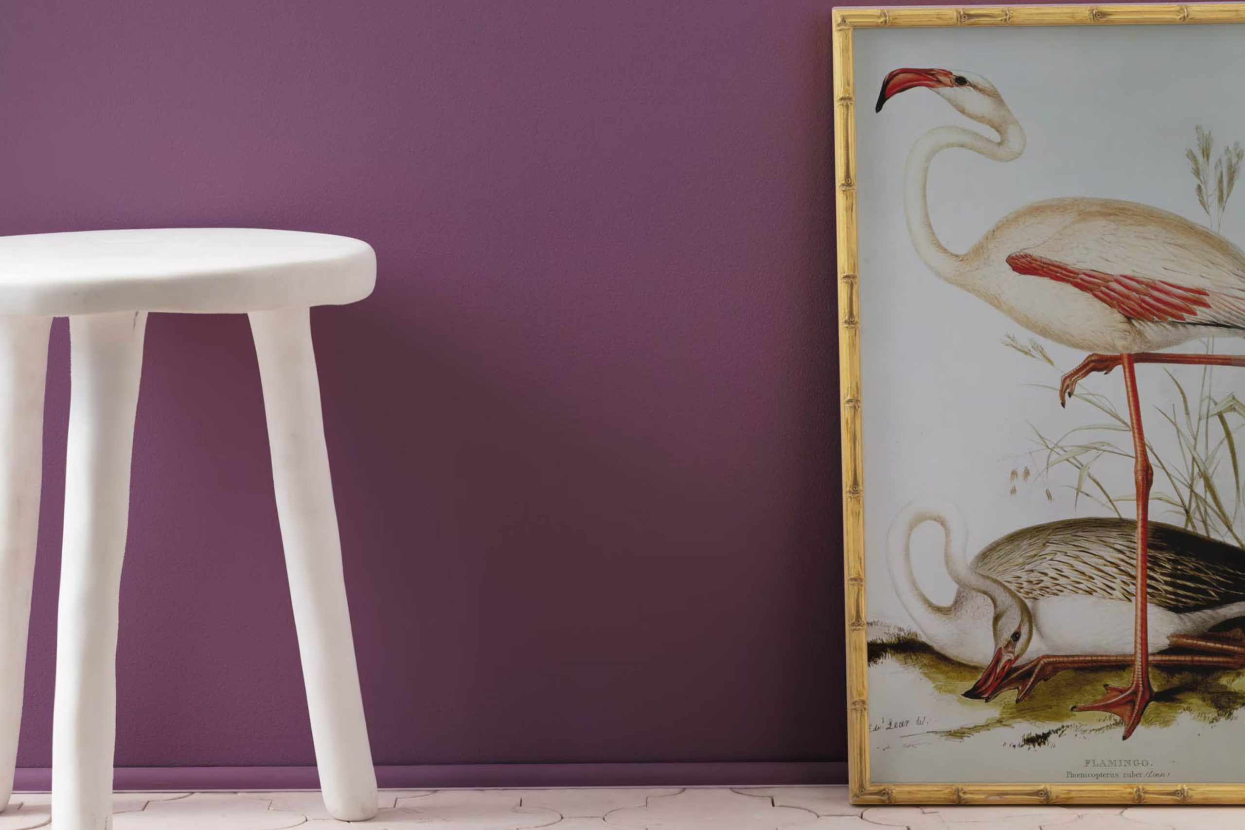 Eggplant 1379 Paint Color by Benjamin Moore