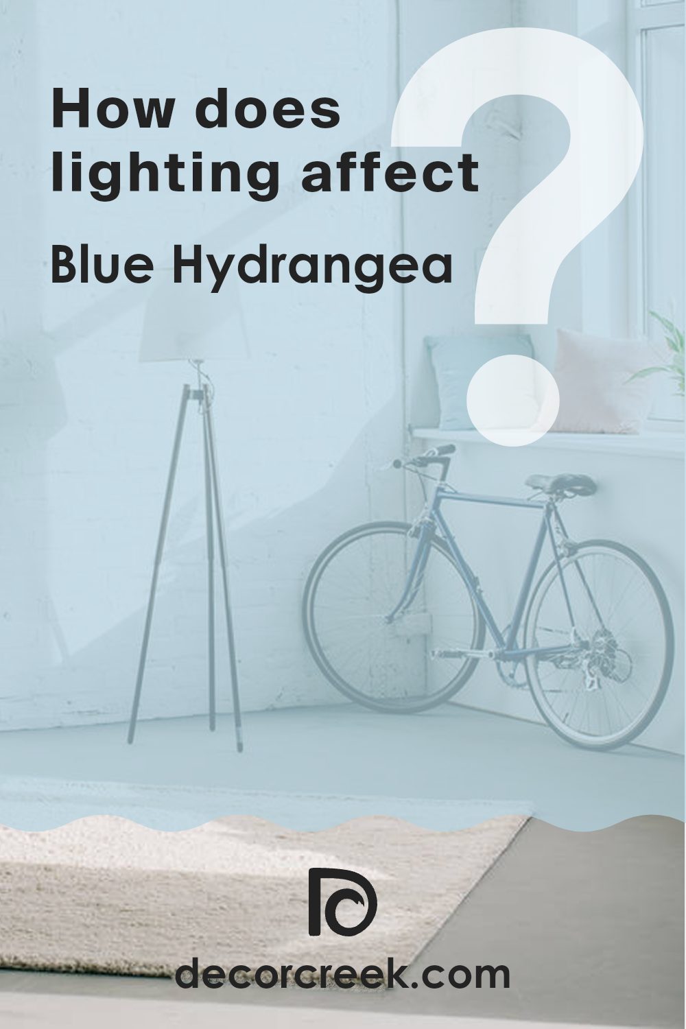 how_does_lighting_affect_blue_hydrangea_2062_60