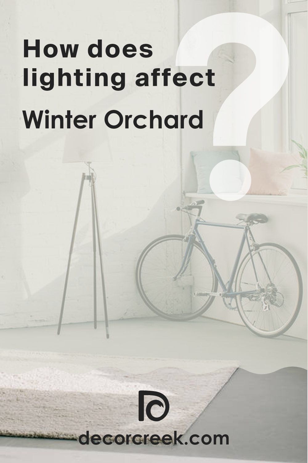 how_does_lighting_affect_winter_orchard_1555