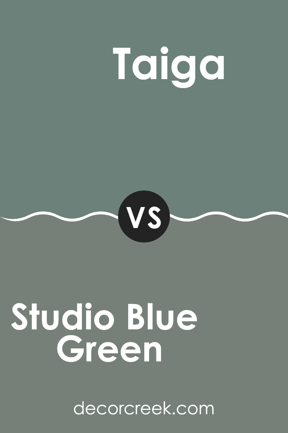 studio_blue_green_sw_0047_vs_taiga_sw_9654