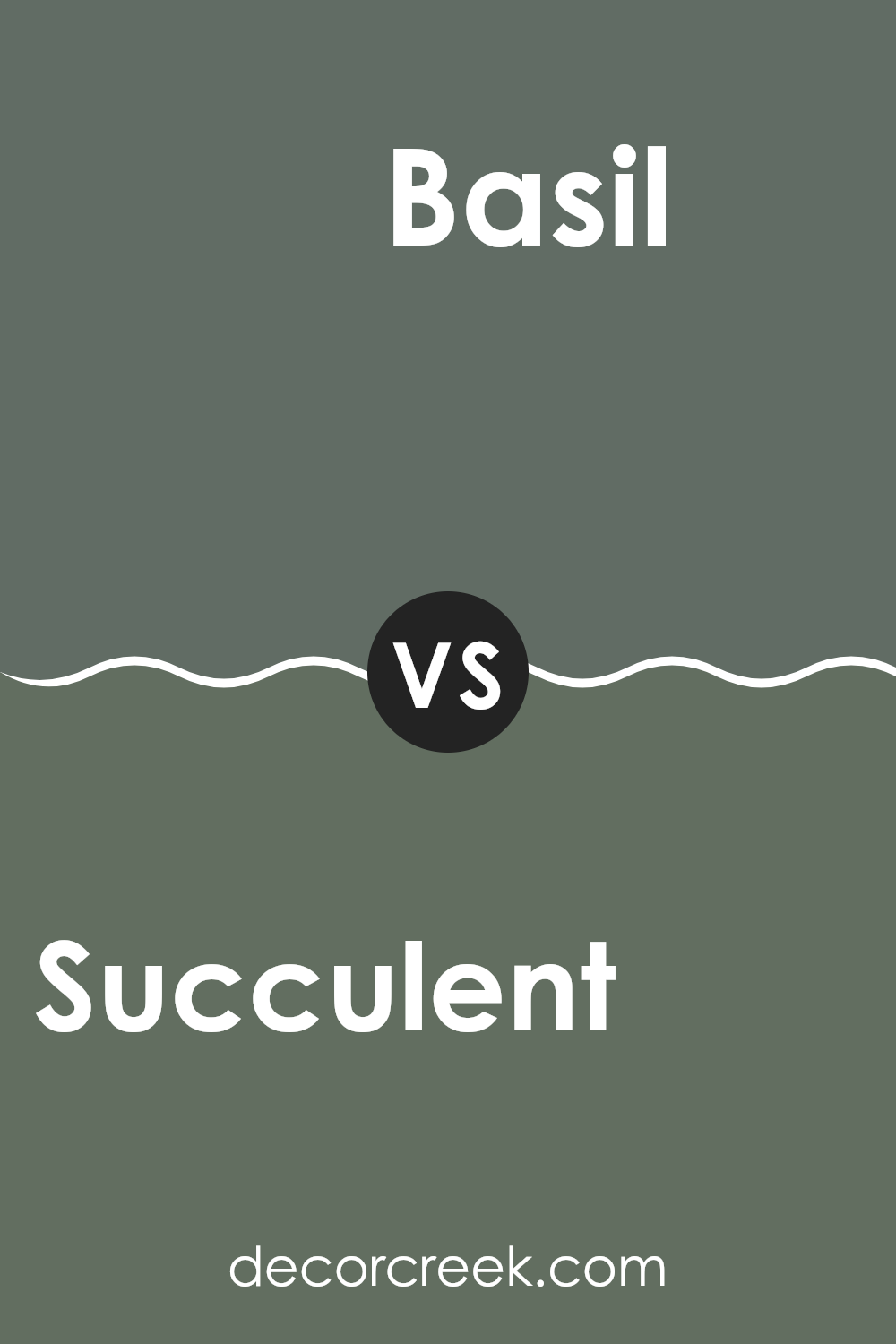 succulent_sw_9650_vs_basil_sw_6194