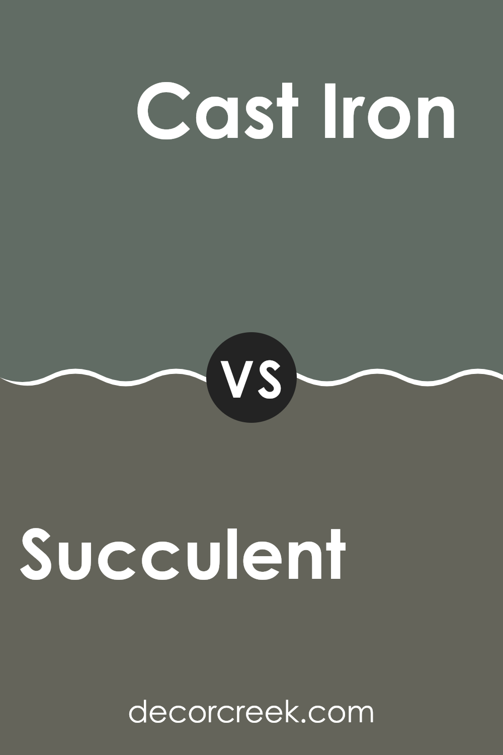 succulent_sw_9650_vs_cast_iron_sw_6202