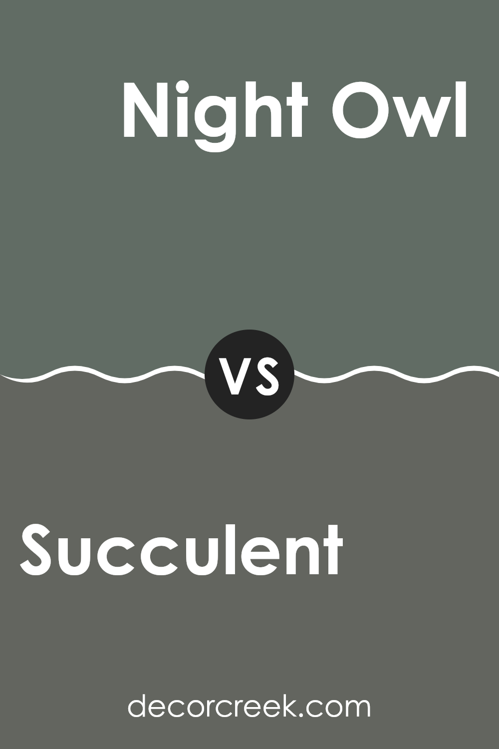 succulent_sw_9650_vs_night_owl_sw_7061