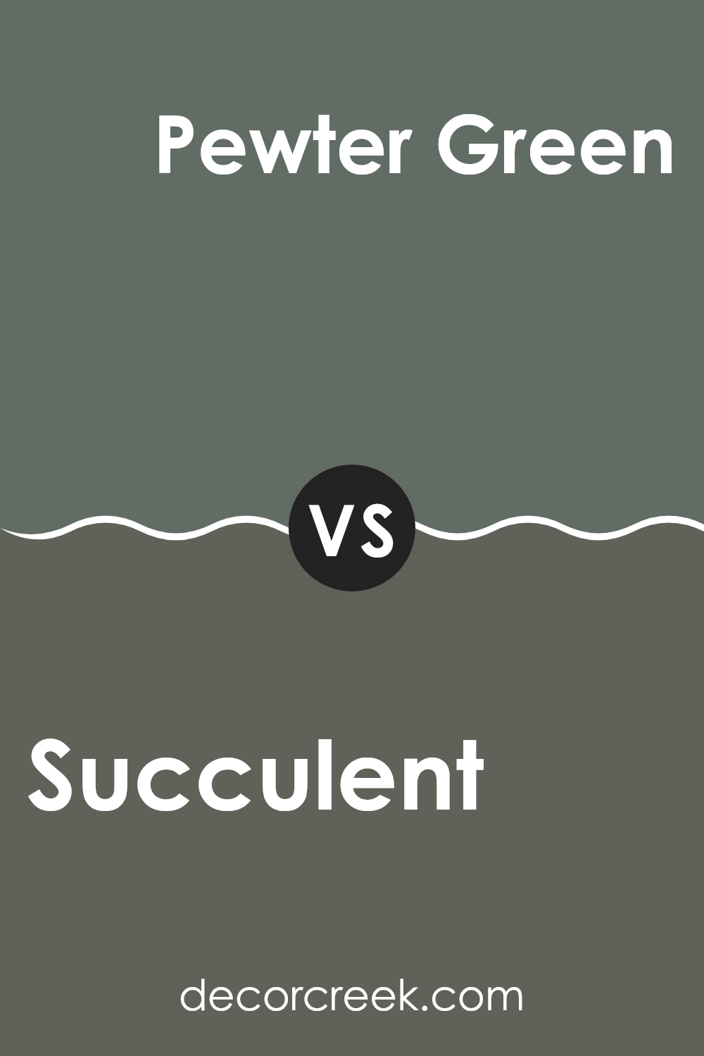 succulent_sw_9650_vs_pewter_green_sw_6208