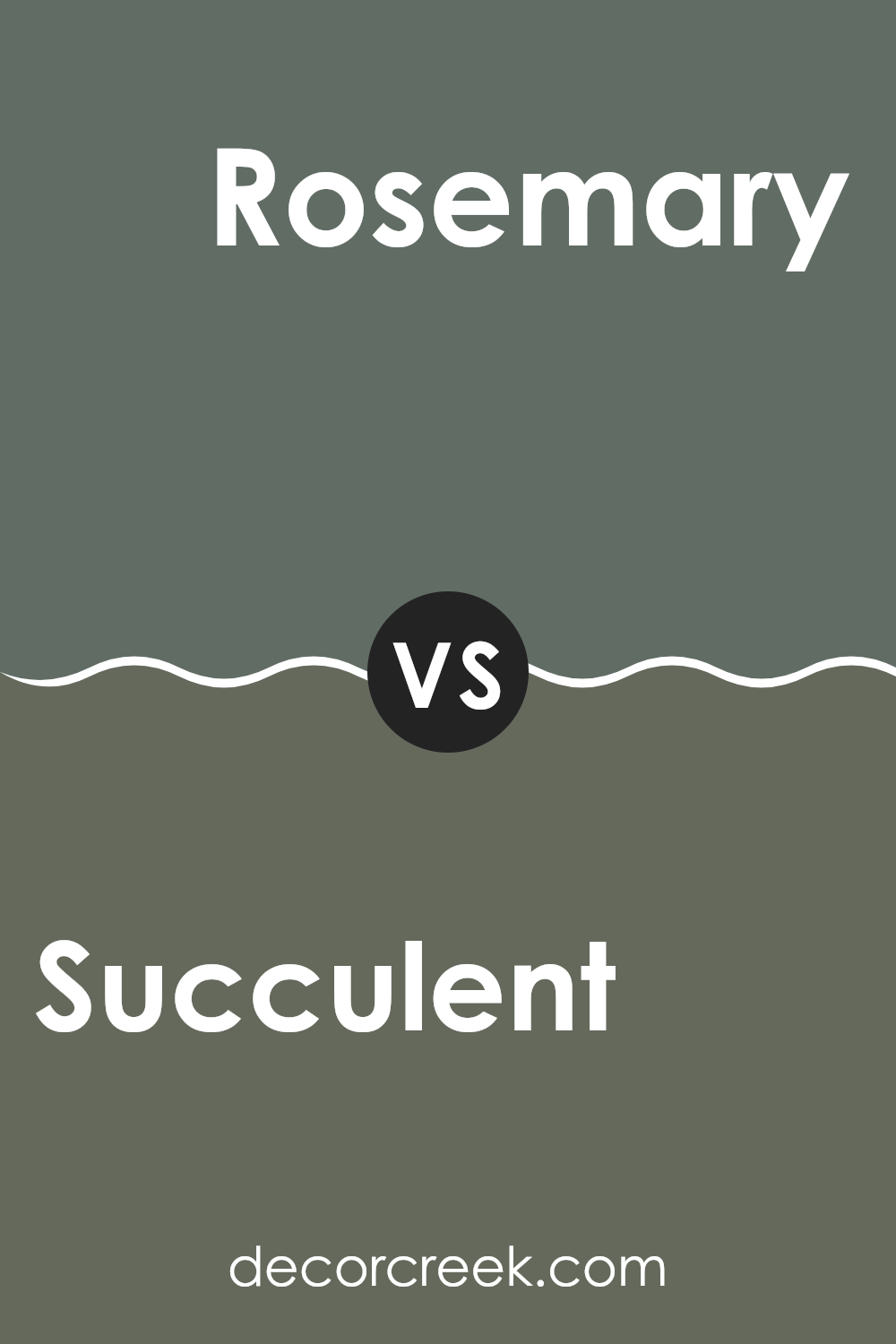 succulent_sw_9650_vs_rosemary_sw_6187